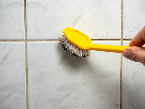 Best Certified Mold Removal  in Galveston, IN