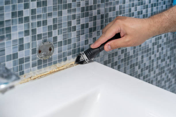 Best Home Mold Removal  in Galveston, IN